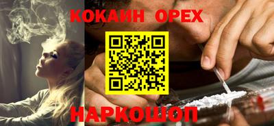 крисы Кулебаки