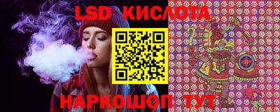 крисы Кулебаки