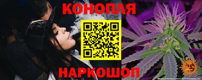 гашик Краснодар