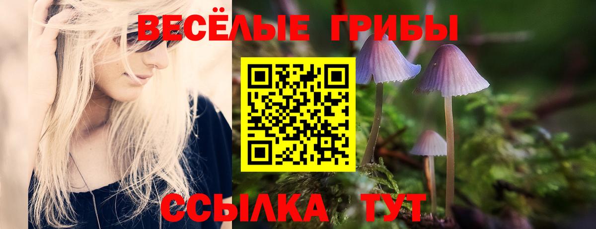 Псилоцибиновые грибы прущие грибы Кизилюрт