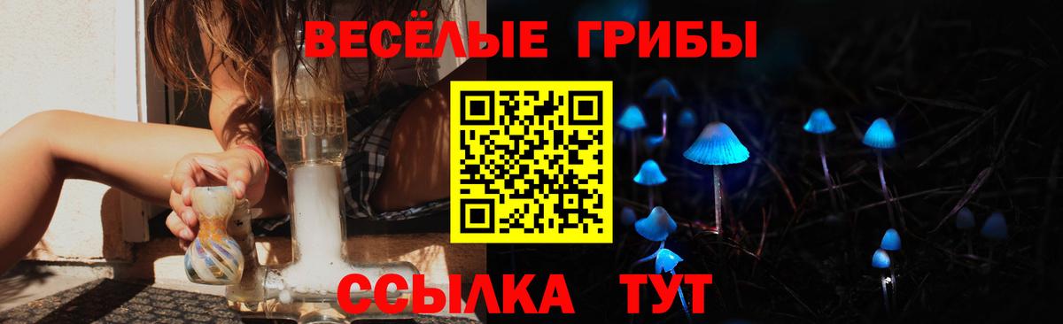 Кизилюрт  Псилоцибиновые грибы MAGIC MUSHROOMS  Вход с VPN  Псилоцибиновые грибы Psilocybe 
